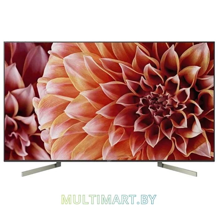 Телевизор Sony KD-49XF9005